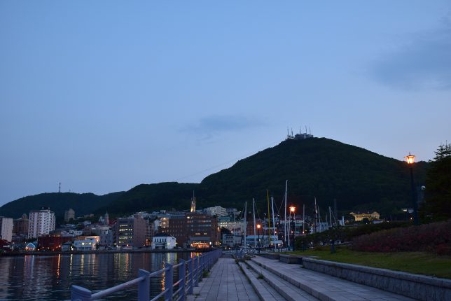 緑の島からみる函館山
