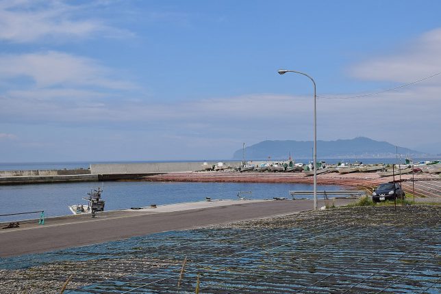 志海苔漁港