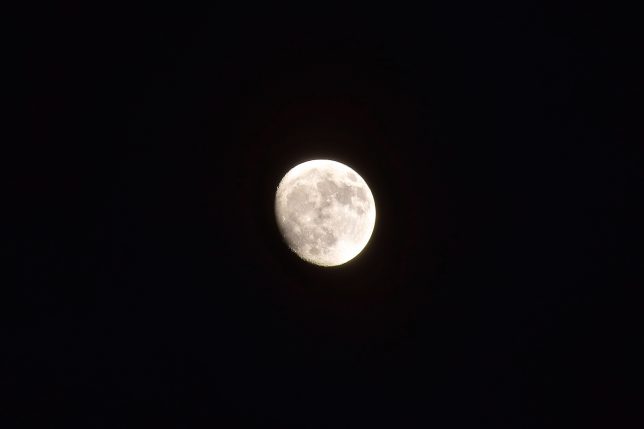 夜空に浮かぶ月