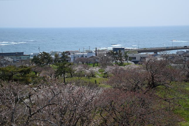 松前城から日本海を望む