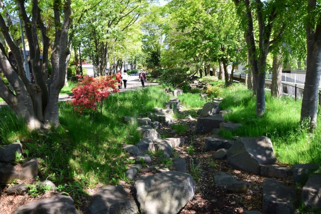初めて歩く川原緑道は、とても緑豊かで快適な遊歩道だった