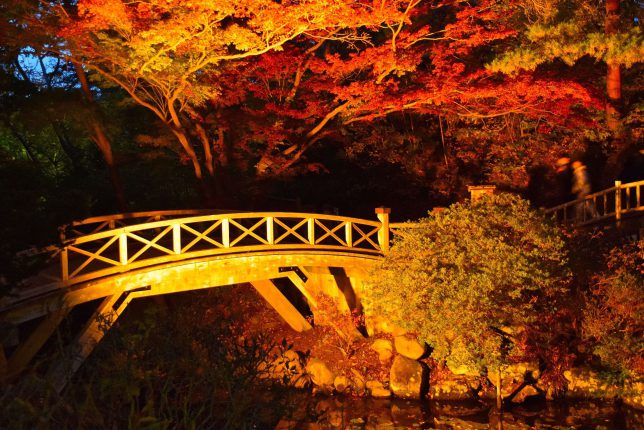 公園内の雰囲気のある木橋と紅葉
