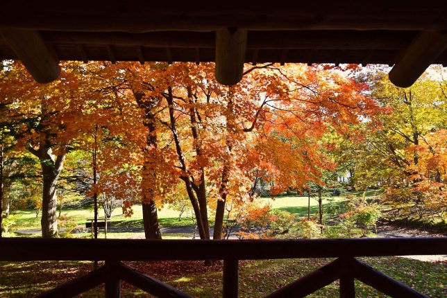 杉風館から眺める紅葉