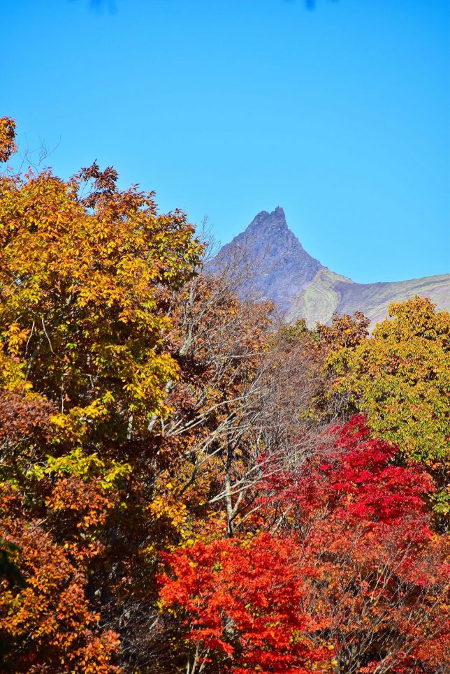 森林公園から空を突くように駒ヶ岳の頂きが見えた