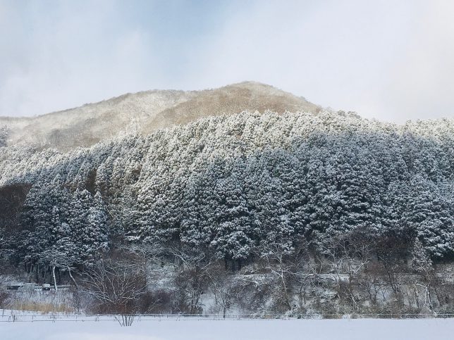 函館八幡宮を包むように抱く函館山山麓はすっかり雪化粧である